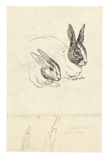 BERTRAM POTTER. A study of rabbits and hands.